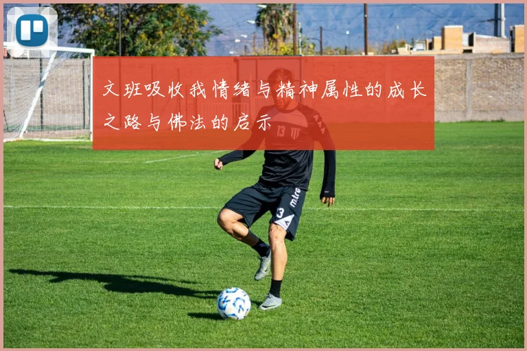 文班吸收我情绪与精神属性的成长之路与佛法的启示